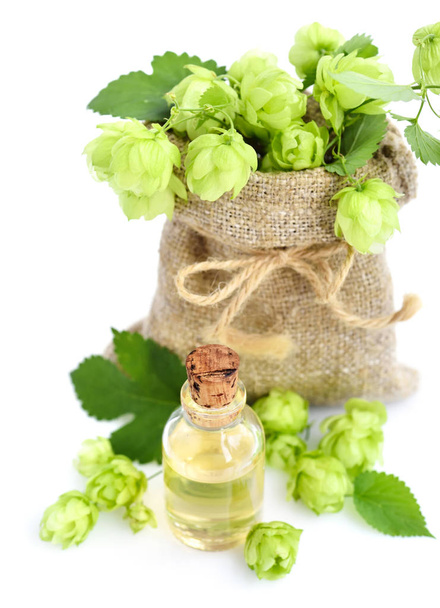 frischer grüner Hopfen (Humulus) im Klettenbeutel mit Heilpflanzenextrakt in Glasflasche auf weißem Hintergrund - Foto, Bild