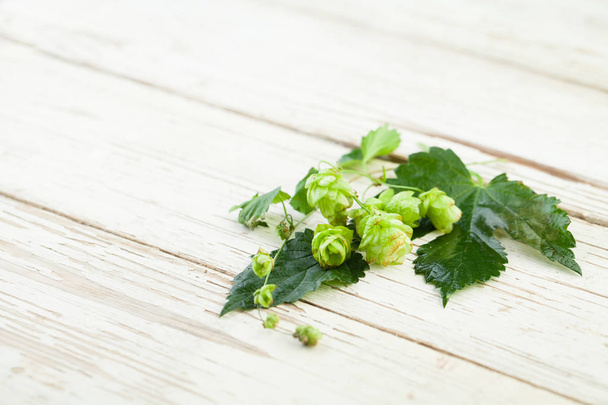 Green beer hop leaves and cones on white wooden background - Photo, Image