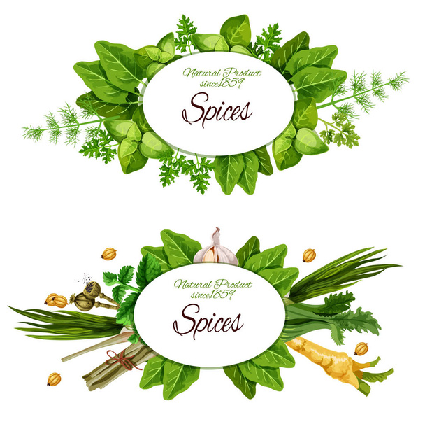 Természetes növényi fűszerek és fűszernövények - Vektor, kép