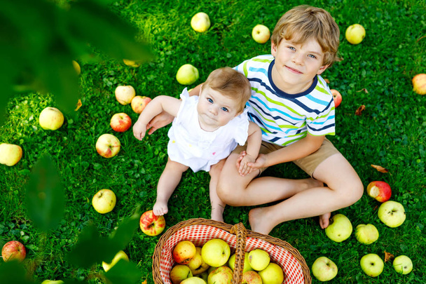 Δύο παιδιά μαζεύοντας μήλα σε ένα αγρόκτημα στις αρχές του φθινοπώρου. Μικρό μωρό κορίτσι και αγόρι παίζει στη Μήλο οπωρώνα δένδρων. Παιδιά Διαλέξτε φρούτα σε ένα καλάθι. - Φωτογραφία, εικόνα