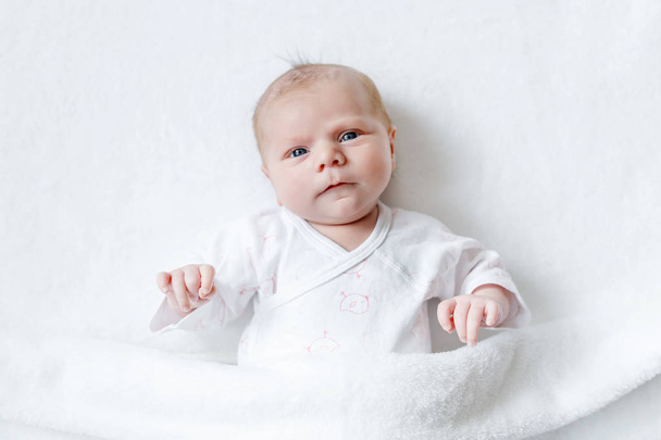 Portrait de bébé nouveau-né adorable mignon - Photo, image