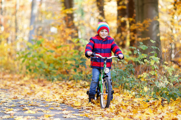Little kid boy in colorful warm clothes in autumn forest park driving a bicycle - Fotó, kép