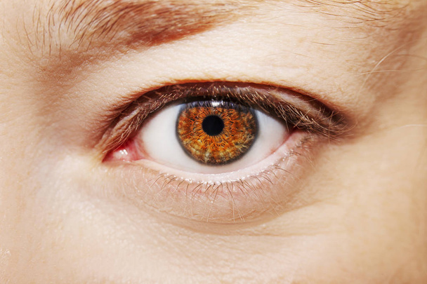 A beautiful insightful look woman's eye. Close up shot. - Foto, Imagen