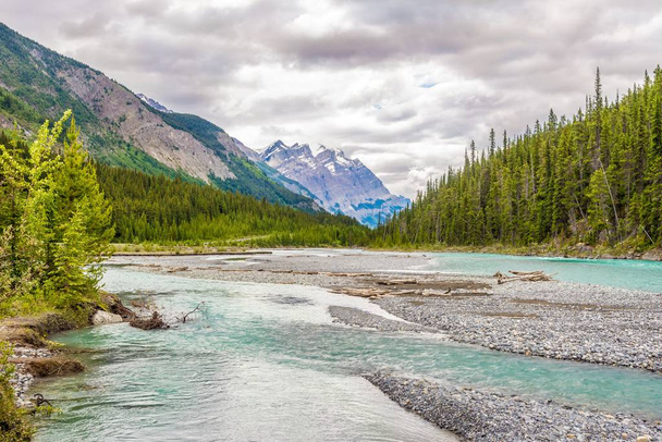 Vista para a natureza perto de Coleman Creek of Banff National Park - Canadian Rocky Mountains
 - Foto, Imagem