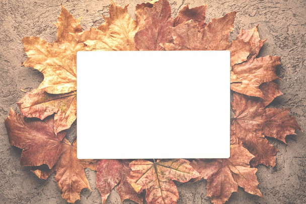 Maple autumn withered dried leaves. Background, mock up with a place for text copy space or inscription - Fotoğraf, Görsel