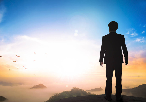 Business käsite: liikemies seisoo vuoren huipulla
 - Valokuva, kuva