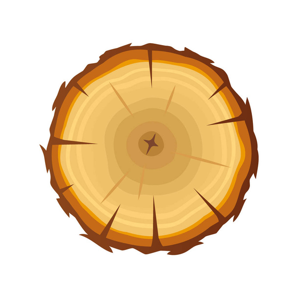 Ring dřeva kmene stromu pro vektorové izolované na bílém. - Vektor, obrázek