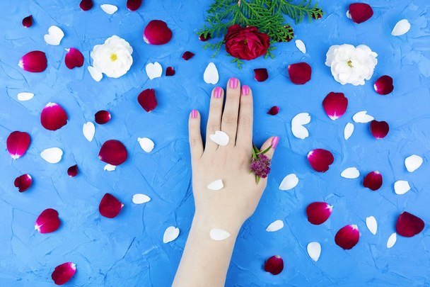 Beauty gentle hands with flowers and flower petals on blue background, hands with beautiful bright makeup and rose petals - Photo, Image