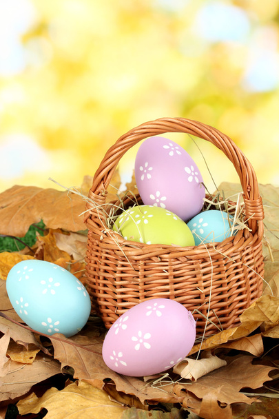 Easter eggs in wicker basket hidden in leaves - Foto, afbeelding