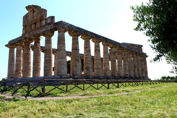 パエストゥムの考古学的な公園のアテナの神殿 - 写真・画像