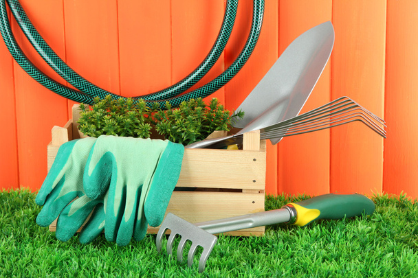 Garden tools on grass in yard - Fotó, kép