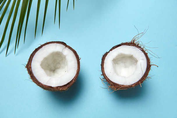 Chopped coconut and green palm branch on a blue background with space for text. Creative layout. Flat lay - Foto, Bild