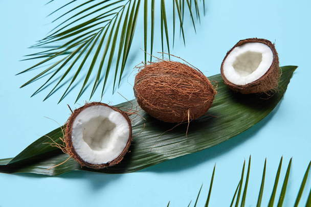 Composition of whole and half coconut on a green leaf and palm leaves on a blue background. Flat lay - Fotografie, Obrázek
