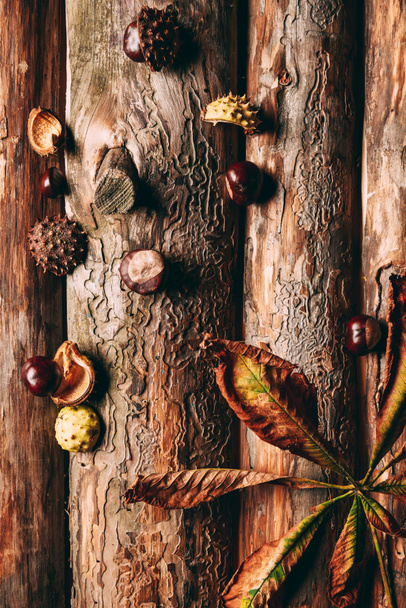 top view of chestnuts and dry leaves on wooden background - Foto, Bild