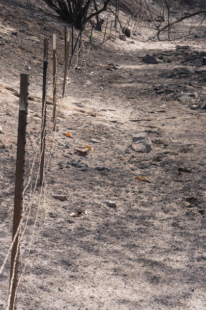 Sklo a kov odpadky vystavena ohněm Thomas podél dálnice 150 poblíž jezera Casitas. - Fotografie, Obrázek