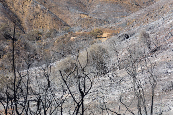 Landschap beschadigd door de Thomas Fire langs het parcours Pratt in Ojai, Californië - Foto, afbeelding