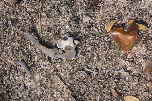 Стекло и металлический мусор, обнаруженные пожаром Thomas Fire вдоль шоссе 150 возле озера Casitas
. - Фото, изображение