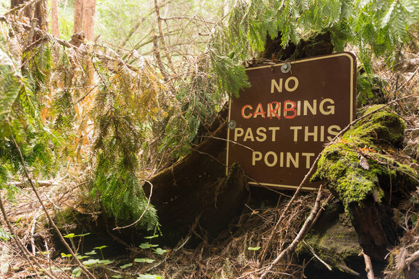 Árboles caídos rodean un cartel de no acampar con graffiti en un camping abandonado
 - Foto, imagen