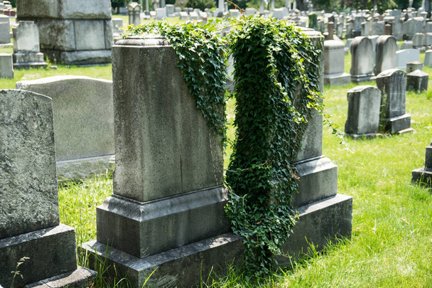 Fileiras de pedras de sepultura bem guardadas em Rochester Nova York
 - Foto, Imagem