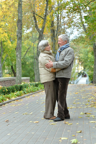 Happy senior couple  in autumn park embracing  - Zdjęcie, obraz