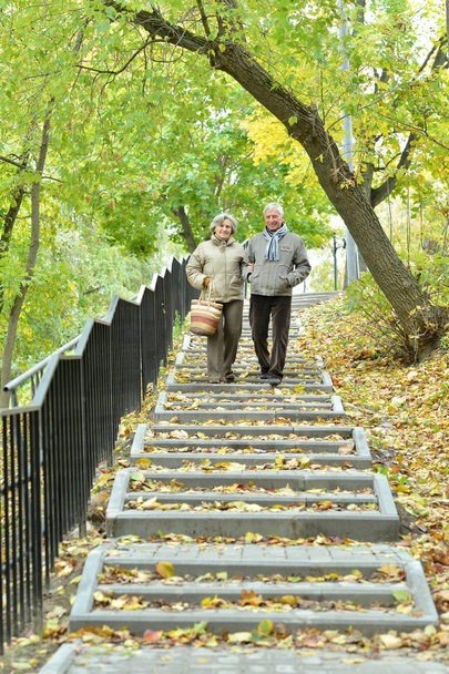 Happy senior couple walking   in autumn park - 写真・画像