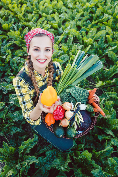 Farmer donna in un campo che offre verdure biologiche
  - Foto, immagini