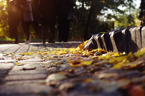 Les couples marchent dans le parc d'automne avec des feuilles jaunes tombées
 - Photo, image