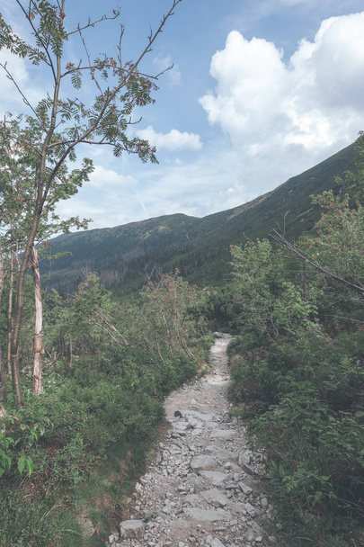 Πεζοπορική διαδρομή στα βουνά Τάτρα, Σλοβακία - Φωτογραφία, εικόνα