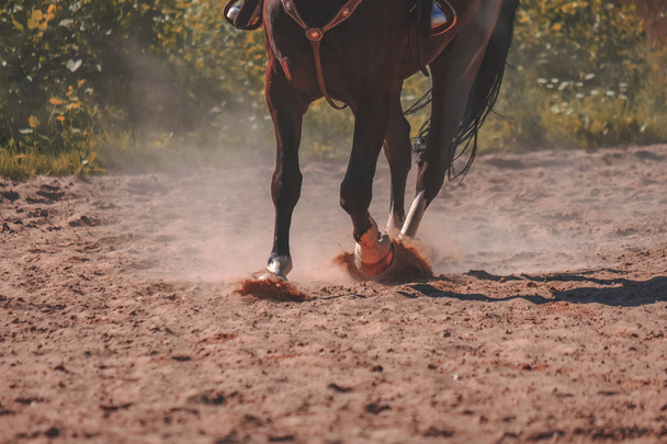 brown horse feet making dust in sand field - Photo, Image