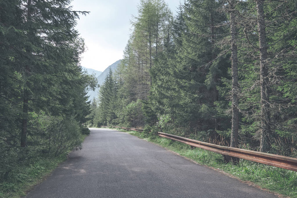 simple country gravel road in summer at countryside with trees around  - Foto, Imagen