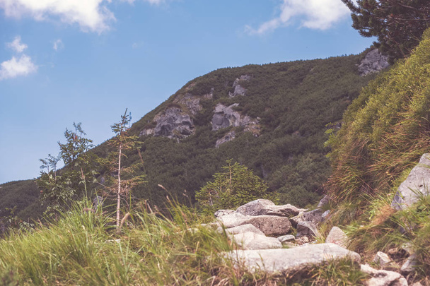 スロバキア タトラ山の上にハイキング コース - 写真・画像