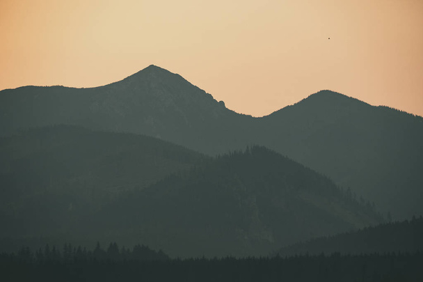 vista panorámica del bosque brumoso en las montañas de los Cárpatos occidentales
 - Foto, Imagen