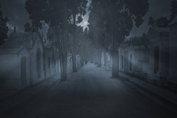 Παλιό ευρωπαϊκό νεκροταφείο κεντρικό δρόμο σε μια ομιχλώδη συννεφιασμένη Πανσέληνος νύχτα - Φωτογραφία, εικόνα