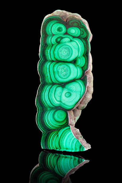 Изумительная полированная натуральная плита из зеленого малахитового минерального драгоценного камня макро, выделенного на черном фоне. Фототекстура крупным планом из зеленого камня
 - Фото, изображение