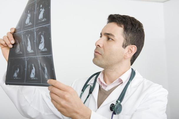 Doctor Examining X-Ray Report - Fotoğraf, Görsel