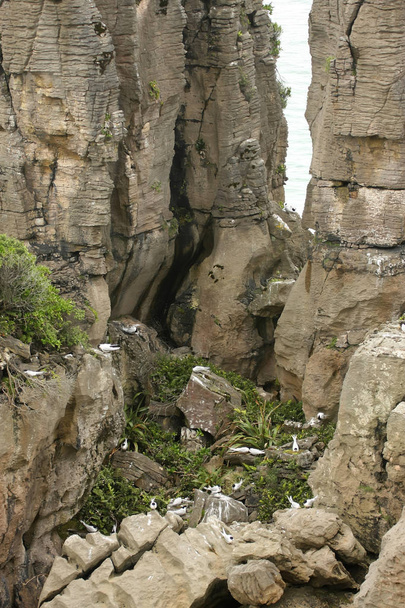Bizarre rock formed by erosion Punakaiki, New Zealand South Island - Photo, Image