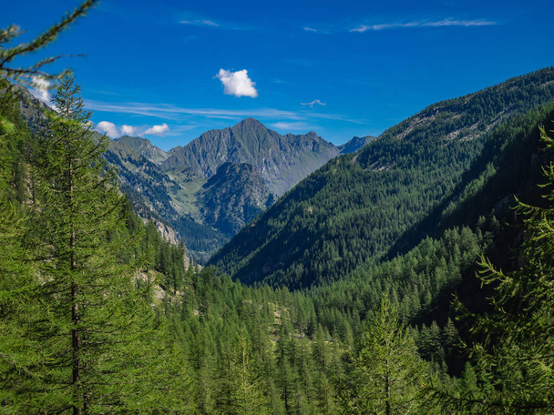 View of Antrona Valley in Natural Park of Alta Valle Antrona, Piedmont, Italy - Valokuva, kuva