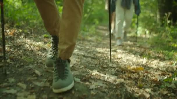 Groep wandelaars met rugzakken en stokken wandelen in het woud - Video