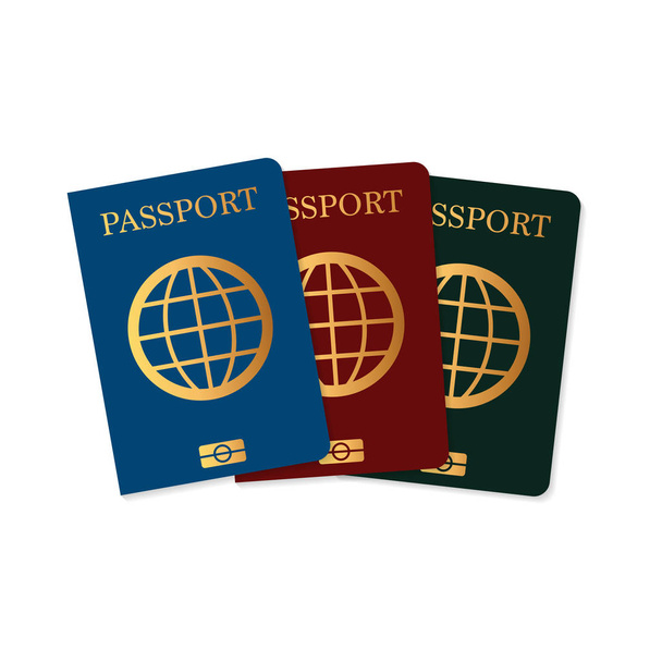 International passport on white background, vector illustration - Vector, Image