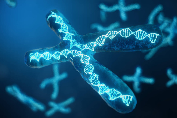 3D illustration X-Chromosomes with DNA carrying the genetic code. Genetics concept, medicine concept. Future, genetic mutations. Changing the genetic code at the biological level. - Photo, Image