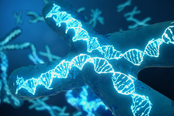 3D obrázek X-Chromosomes s Dna nesou genetický kód. Genetika koncept, koncept lékařství. Budoucnost, genetická mutace. Změna genetického kódu na biologické úrovni. - Fotografie, Obrázek