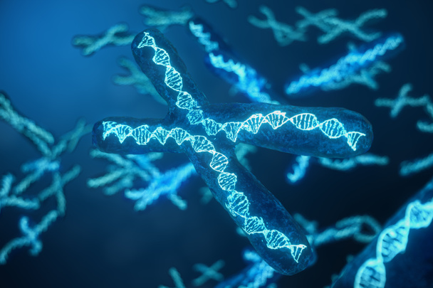 3D obrázek X-Chromosomes s Dna nesou genetický kód. Genetika koncept, koncept lékařství. Budoucnost, genetická mutace. Změna genetického kódu na biologické úrovni. - Fotografie, Obrázek
