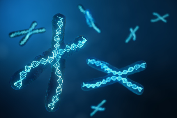 3D απεικόνιση X-Chromosomes με το Dna, που μεταφέρουν τον γενετικό κώδικα. Έννοια της γενετικής, ιατρική έννοια. Μέλλον, γενετικές μεταλλάξεις. Αλλάζει ο γενετικός κώδικας στο βιολογικό επίπεδο. - Φωτογραφία, εικόνα