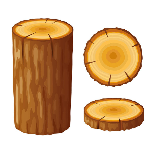 Tree, wooden stump with rings. Cut trees, isolated on white background. - Vector, Image
