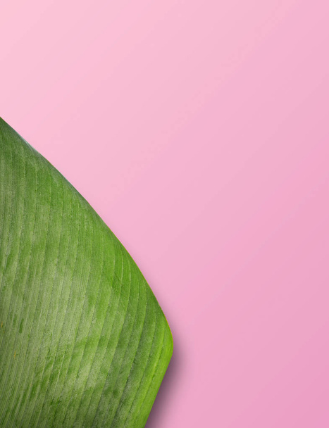 Green palm leaves colorful mockup on pink background - Fotoğraf, Görsel