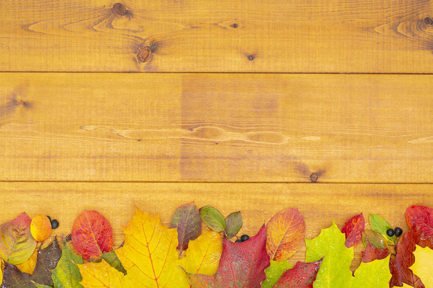 Autumn banner with yellow leaves on wooden textured backdrop. Fall background for thanksgiving day - Photo, image