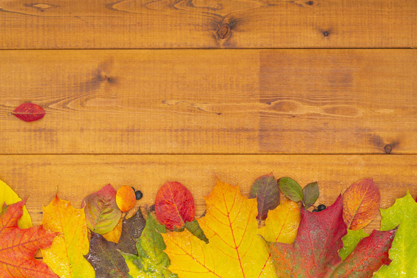 Autumn banner with yellow leaves on wooden textured backdrop. Fall background for thanksgiving day - Foto, afbeelding