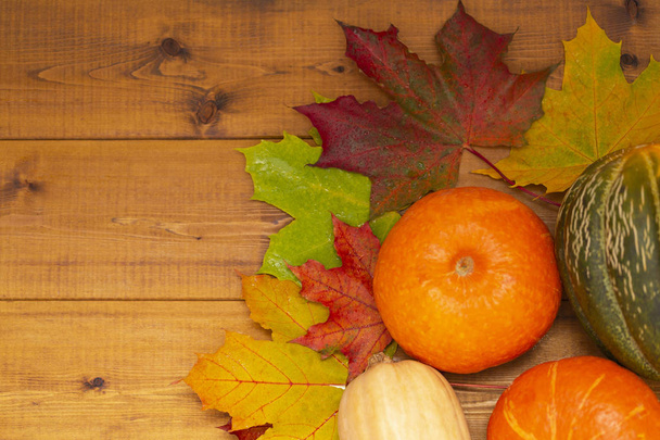 Sárga, piros őszi levelek és a sütőtök, a rusztikus fa háttér. Hely a szöveg, szezonális üdvözletet, őszi Őszi szünidő, betakarítási idő, barátságos hangulat.  - Fotó, kép