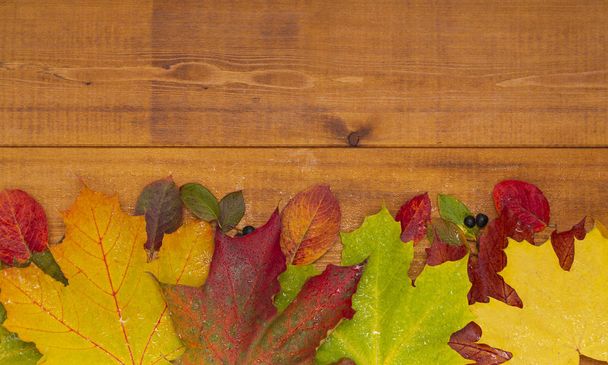 Autumn banner with yellow leaves on wooden textured backdrop. Fall background for thanksgiving day - Photo, Image