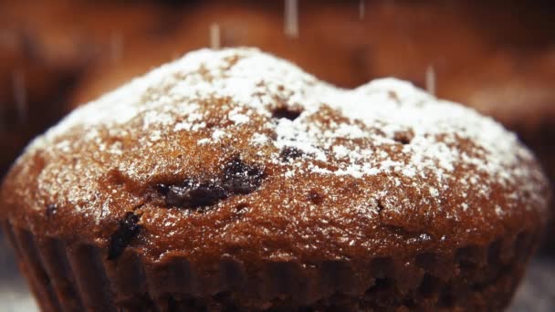 Muffins de cámara lenta espolvorear con azúcar en polvo de cerca
 - Metraje, vídeo